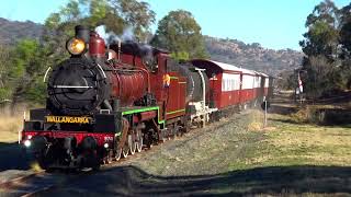 C17 974  SDSR Steam Train to Wallangarra  12082023 [upl. by Anerrol]