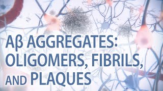 Aβ aggregates oligomers fibrils amp plaques  Alzheimer’s disease  medical animation [upl. by Culliton159]