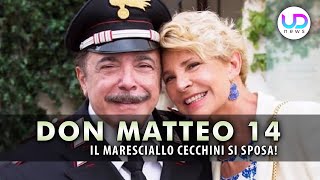 Don Matteo 14 il maresciallo Cecchini si sposa [upl. by Nnylasor]