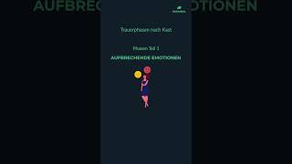 Trauerphasen nach Kast Phasen Teil 1 einfach erklärt pflegeausbildungtrauerphasenverenakast [upl. by Quince]