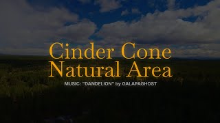 Cinder Cone Natural Area  Bend Oregon  6162024 2 [upl. by Zubkoff]