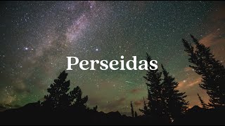 ¿Qué son las PERSEIDAS y CUÁNDO verlas en ESPAÑA [upl. by Erreipnaej848]