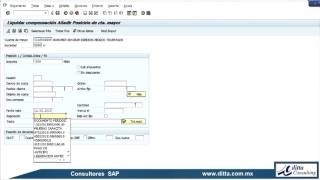 17 SAP Curso FI GL Traspaso con Compensación [upl. by Dlonyar]