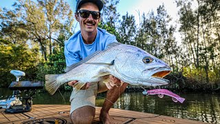 Estuary Fishing SEQ  Jewfish On SWIMPRAWNS [upl. by Sall401]