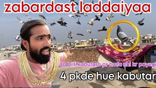 Moin laya 4 pakde hue kabutar ðŸ˜± Zabardast ladaiyya dono bache badhe ho gyeðŸ”¥ðŸ¥° [upl. by Julio]