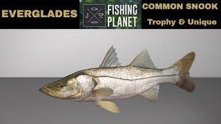 Fishing Planet EVERGLADES COMMON SNOOK Trophy amp Unique [upl. by Gyimah783]