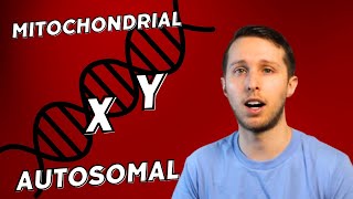 Autosomal DNA v X DNA v Y DNA v Mitochondrial DNA [upl. by Lamaaj]