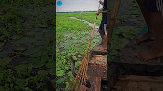 Boat Fishing Video 2024 part 132shortsshortvideo viral viralvideo fishing fishboatfishing [upl. by Lello]