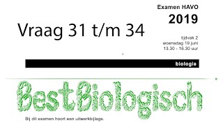 Biologie examen havo 2019 tweede tijdvak vraag 31 tm 34 [upl. by Semajwerdna]