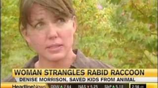 awesome woman strangles rabid raccoon to death with bare hands [upl. by Tierell]