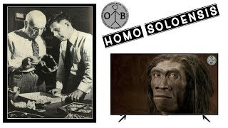 HOMO SOLOENSIS  Sejarah dan ciriciri Manusia purba di Indonesia [upl. by Erimahs]