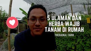 5 Ulaman dan herba Wajib Tanam Di Rumah [upl. by Warram]