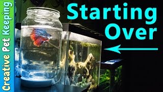 How to clean a 5 gallon BETTA FISH tank  BettaFishCare [upl. by Lentha]