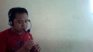 Me Playing quotSharon Corr  Mná Na hÉireann Women of Irelandquot with my tin whistle [upl. by Corie]