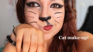 Tutoriel maquillage  Le chat [upl. by Nauqet432]