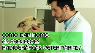 Como dar nome às projeções radiográficas veterinárias [upl. by Eustazio56]