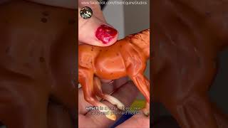 Breyer Stablemate Mystery Horse Surprise Series 1 Unboxing  Lets take a look Model Horses 2 short [upl. by Anoirtac]