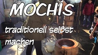 Mochis selbst machen  AuPair Vlog 7 [upl. by Wilone]