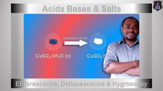 Acids Bases and Salts  Efflorescence Deliquescence amp Hygroscopy  Chemistry Tutorial [upl. by Yeliw]