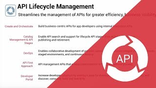 Zoom on API Lifecycle Management [upl. by Lednahs968]