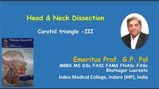 10 Carotid triangle 3 [upl. by Nahtannoj]