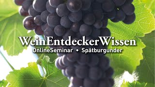 🍇 Spätburgunder – WeinEntdeckerWissen OnlineSeminar 🍇 [upl. by Yesmar582]