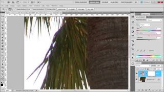 Fixing Chromatic Aberration in Photoshop CS5 [upl. by Malkin120]