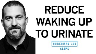 How to Reduce Nighttime Urination  Dr Andrew Huberman [upl. by Trumann932]