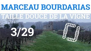 329  M BOURDARIAS  Taille Douce de la Vigne  Ecologie Végétale [upl. by Steffy336]