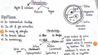 Palynology  Pollen Grain Morphology Significance interaction  BSC final year Botany Paper 1 [upl. by Yeo]