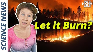 Let Wildfires Burn Scientists Say [upl. by Llekcm]