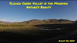 Slough Creek Valley in the Morning  Natures Beauty river valley yellowstonenationalpark [upl. by Alamat689]