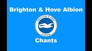 Brighton and Hove Albions Best Football Chants Video  HD W Lyrics [upl. by Eaves]