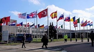 Nato lingresso dellUcraina non è un tabù [upl. by Atnoid]