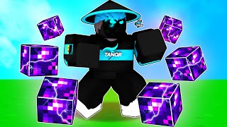 When TanqR uses the TERRA KIT in Roblox Bedwars [upl. by Aniratak]