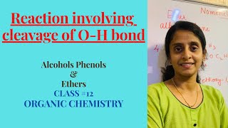 Chemical reactionsof alcoholCleavage of OH BondClass12 Alcohols Phenol And EstersAnnnasclasses [upl. by Setsero]