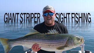 Sight Fishing Giant Striped Bass and a Mako Shark Attacked Maine Striper Fishing [upl. by Noskcaj]