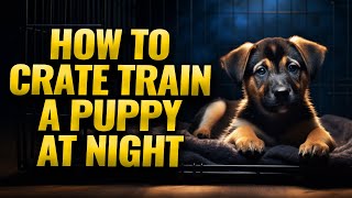 Nighttime Crate Training for Puppies A StepbyStep Guide [upl. by Ehttam65]