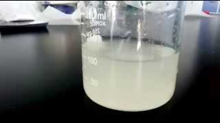 Solubility demonstration for Chondroitin sulfate plus glucosamine Mix Powder for Joint health [upl. by Enyad]