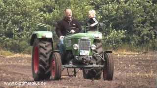 Fendt Farmer 3 S am Walzen [upl. by Sutherland]