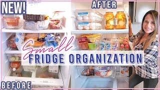 NEW SMALL FRIDGE ORGANIZATION IDEAS  HOW TO ORGANIZE YOUR FRIDGE  EXTREME BEFORE AND AFTER [upl. by Abbottson]