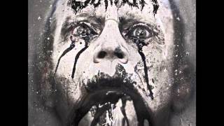 SONNE Rammstein Cover  Caliban [upl. by Jodie]