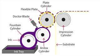 Flexographic Printing Explained [upl. by Erdied214]