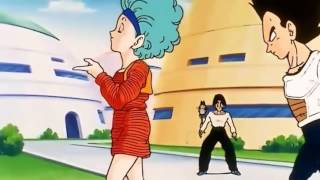 Vegeta Bulma Moments [upl. by Adnylam]