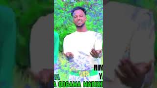 Guryo masoo jigjiga geesna oogama bixin [upl. by Etnoed867]