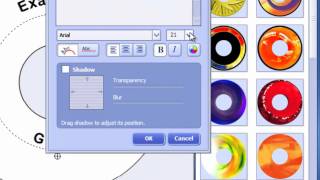 How to Use Memorex Lightscribe [upl. by Anwadal592]