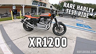 2009 HarleyDavidson XR1200 Test Ride Review  Cody Compares Ep 16 [upl. by Haidedej]