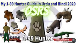 OSRS Hunter Guide 199 Urdu New Video 2023 [upl. by Egres]