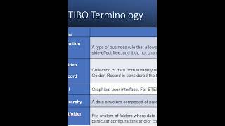 STIBO TERMINOLGYMaster Data Management  STEP MDMPIM  mdm  shorts shortvideo [upl. by Thinia288]