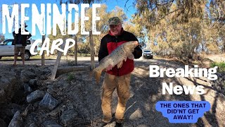 Carp Fishing  how to fish Menindee Lakes gold [upl. by Coffey738]